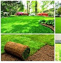 фигуры из газона Пермь