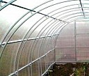 теплица оцинкованная усиленная из поликарбоната Пермь