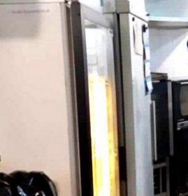 Дезинсекция на предприятиях питания Пермь
