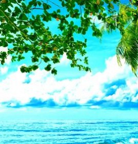 фотообои: море пляж Пермь