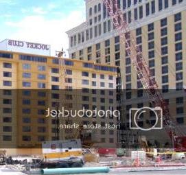 Линолеум Forum Vegas 12 Пермь