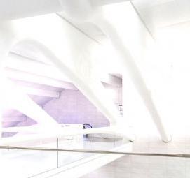 Линолеум Space Santiago 1 Пермь