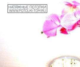 Натяжные потолки с фотопечатью Пермь