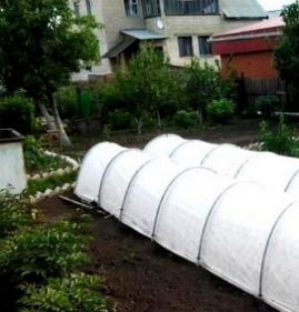 Парник 2 на 4 Пермь