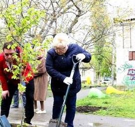 Посадка деревьев на придомовой территории Пермь
