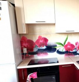 Прозрачный фартук для кухни из пластика Пермь