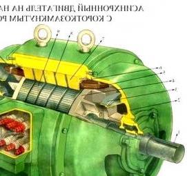 синхронный двигатель с короткозамкнутым ротором Пермь