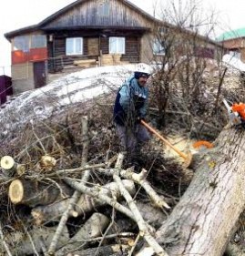 спил деревьев на участке Пермь