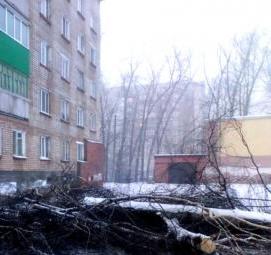 спил деревьев возле частного дома Пермь