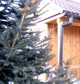 сруб бани из лиственницы Пермь