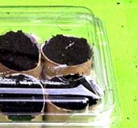 стаканчики для рассады от производителя Пермь