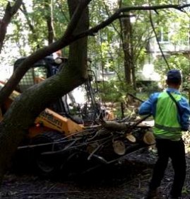 уборка территории после строительства Пермь