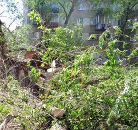 удаление сухостойных буреломных ветровальных деревьев Пермь