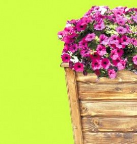 Вазоны для туи уличные Пермь