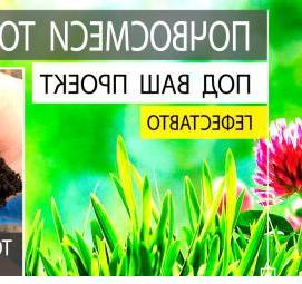 Вторичный щебень эко щебень Пермь