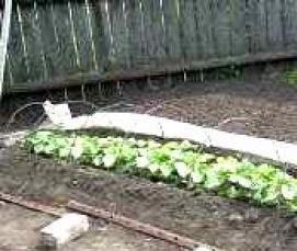 Агропленка для теплиц - тип 4