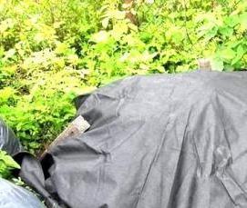 Агропленка от сорняков - вариант 2