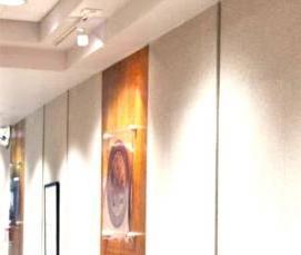 Акриловое стекло 10 мм - модель 2