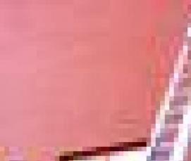 Алюминиевые лестницы усиленные - вариант 1