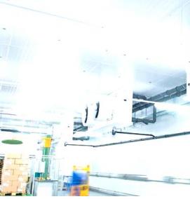 Аренда помещения с холодильным оборудованием - вариант 1