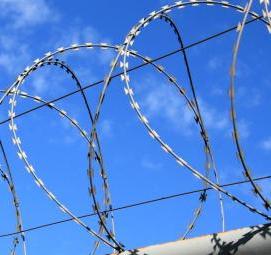 Армированная колючая лента АКЛ - тип 4