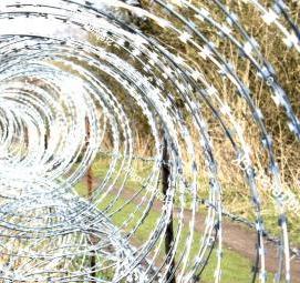Армированная колючая лента АКЛ - тип 2