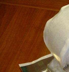 Армированная пароизоляционная лента - модель 3