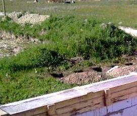 Армированные плиты перекрытия - модель 4