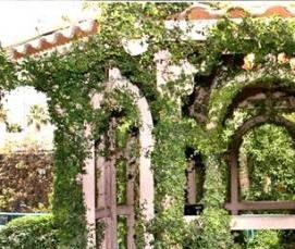 Арочная беседка из профильной трубы - модель 3