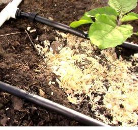 Автоматический капельный полив для теплицы - тип 2