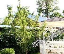 Ажурная беседка из металла - тип 2