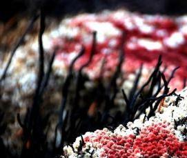 Базальтовый утеплитель в мешках - вариант 1