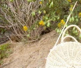 Беленая вагонка - вариант 4