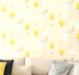 Белорусские виниловые обои - модель 3