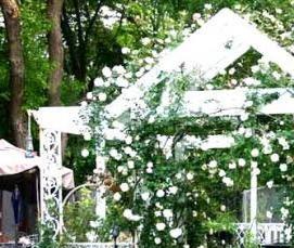 Беседка дачная металлическая - вариант 1