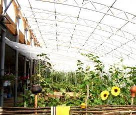 Био теплица - тип 3