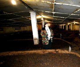 Био теплица - тип 2