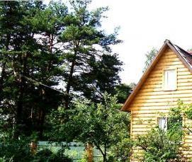 Битумные листы для кровли - вариант 2