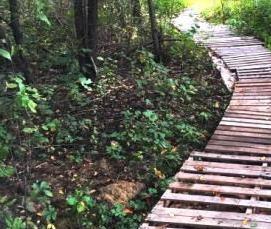 Битый шифер - вариант 1