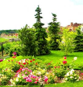 Благоустройство частной территории - вариант 3