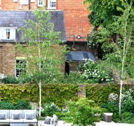 Благоустройство дачной территории - тип 4