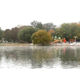 Благоустройство территории озера - модель 2