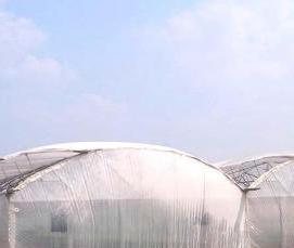 Блочные теплицы - вариант 4