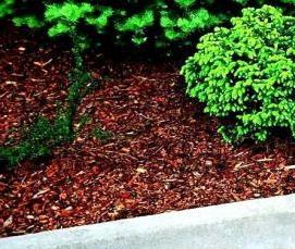 Бордюрный камень бетонный - тип 1