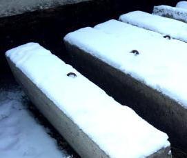 Бордюрный камень бу - вариант 1