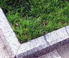 Бордюрный камень для дорожек - вариант 4