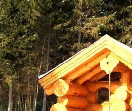 Бревна строительные окоренные - модель 4