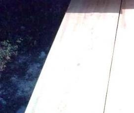 Брус Береза 50х50 мм - тип 1