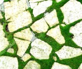 Брусчатка с травой - тип 4