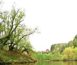 Бурение скважин ударно канатным способом - тип 4